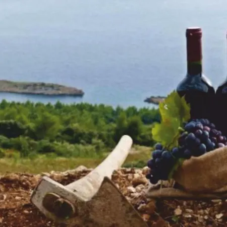 Medic Апартаменты Драче