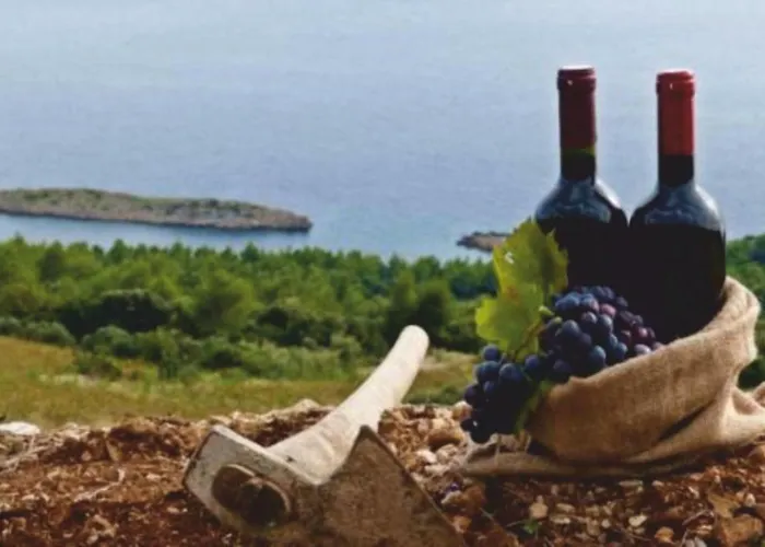 Medic Appartement Drače